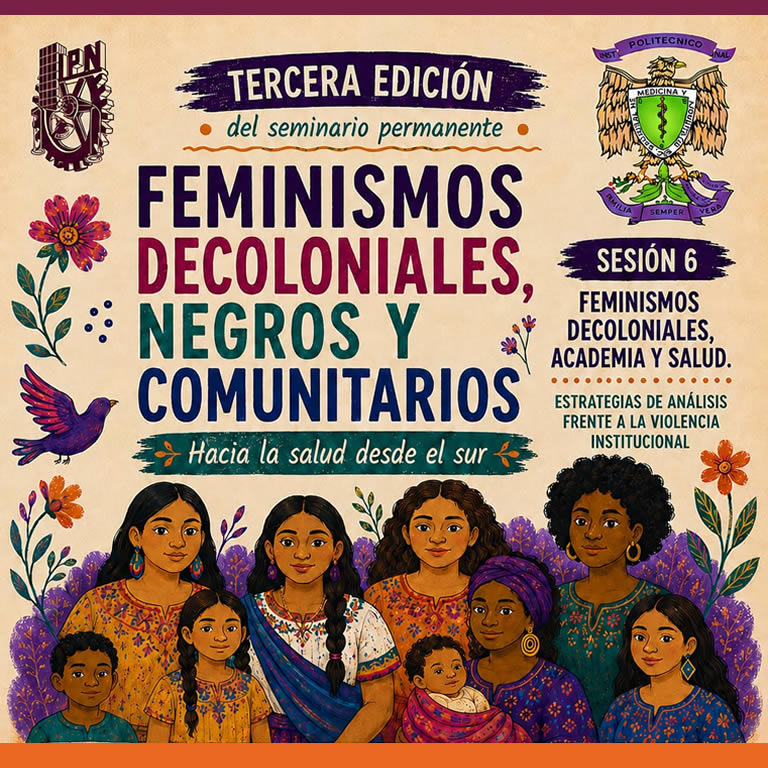 Feminismos Decoloniales Negros y Comunitarios