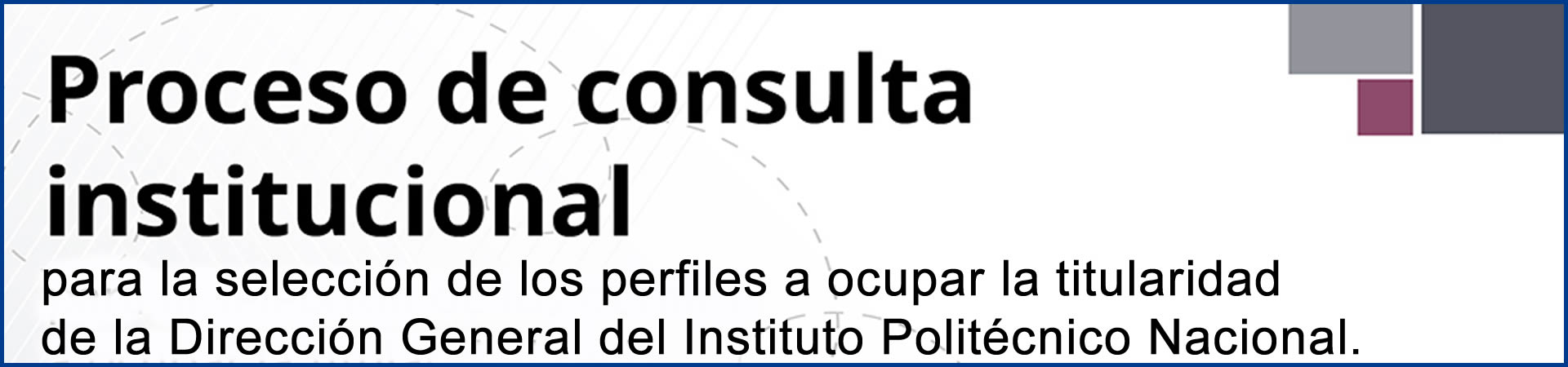 Director del IPN