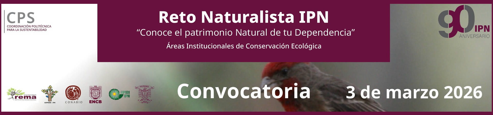 Reto Naturalista IPN 2026